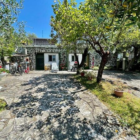 Rosy Apartment - Levanto, 5 Terre 외부 사진
