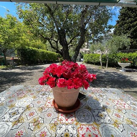 Rosy Apartment - Levanto, 5 Terre 외부 사진