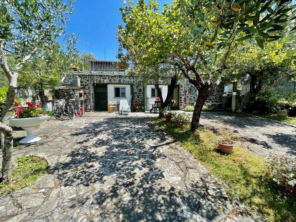 Rosy Apartment - Levanto, 5 Terre 외부 사진
