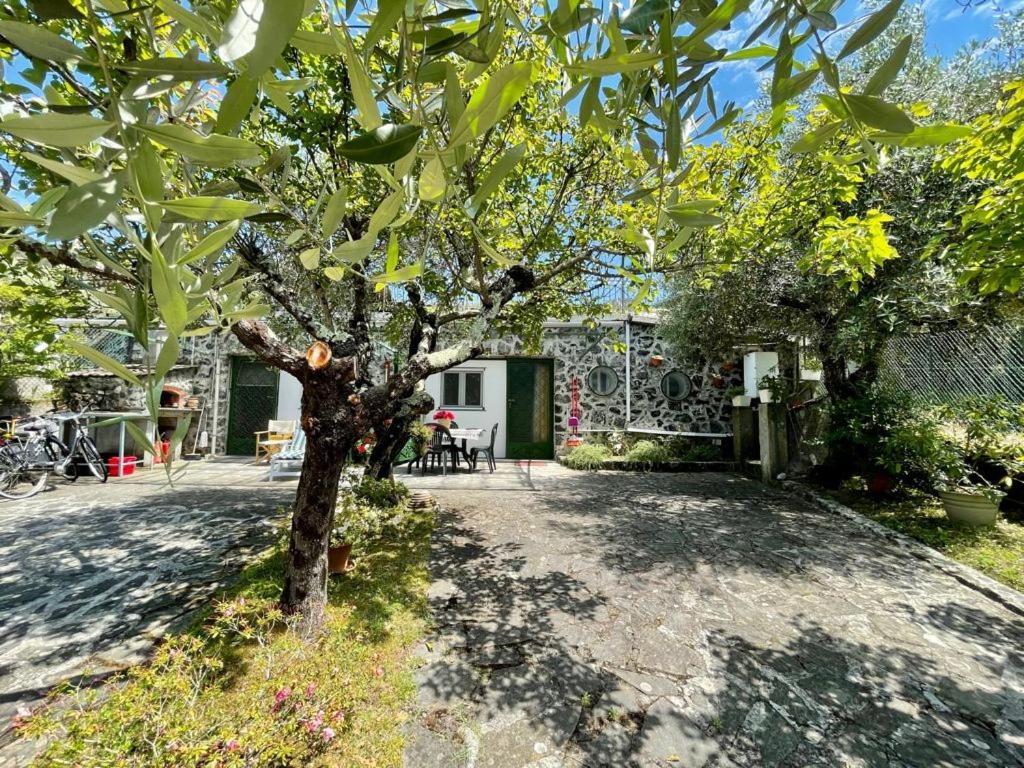 Rosy Apartment - Levanto, 5 Terre 외부 사진
