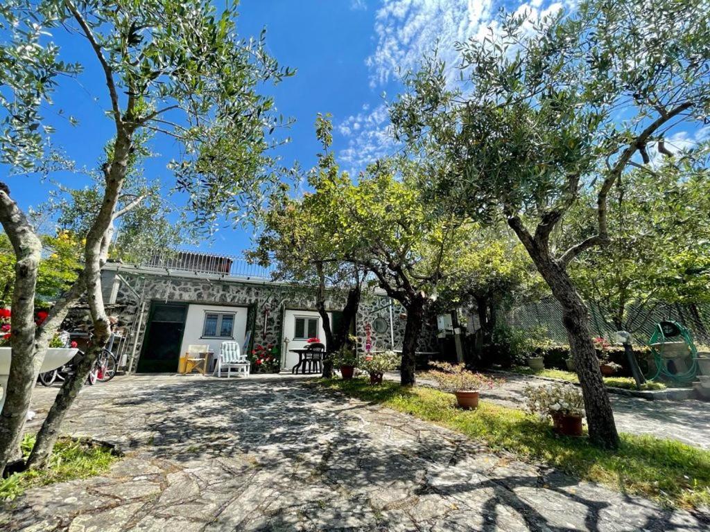 Rosy Apartment - Levanto, 5 Terre 외부 사진